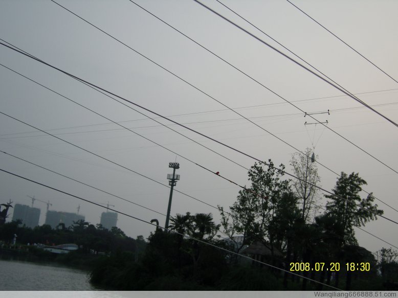 12f149f550c8dd04936af29ffd5ffb4e[1].jpg